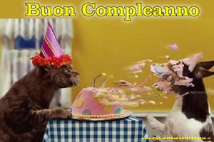 Auguri buon compleanno